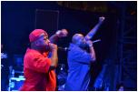 Photo #6 - Crossover Festival - MOP - Cypress Hill - Theatre de Verdure - Nice