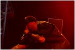 Photo #21 - Crossover Festival - MOP - Cypress Hill - Theatre de Verdure - Nice